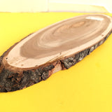 Wood plank / Tranche de bois