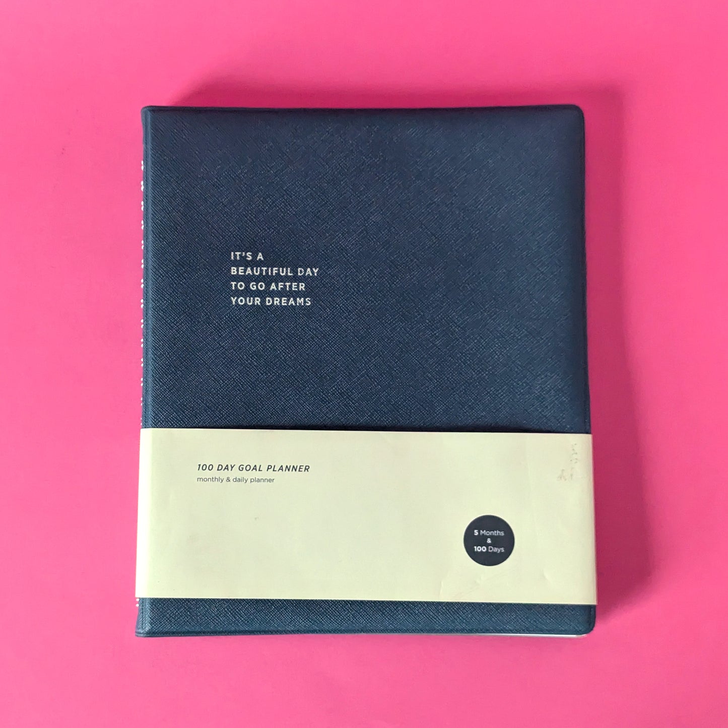 100 day goal planner