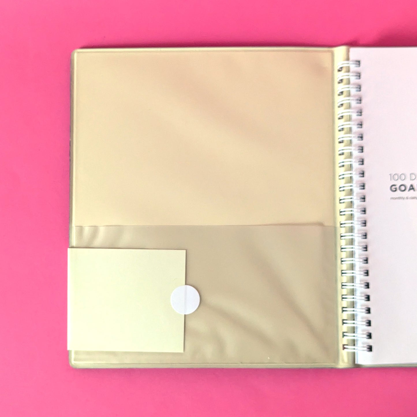 100 day goal planner