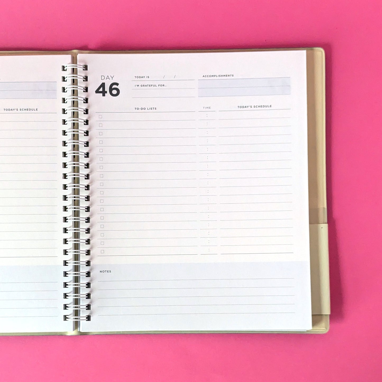 100 day goal planner