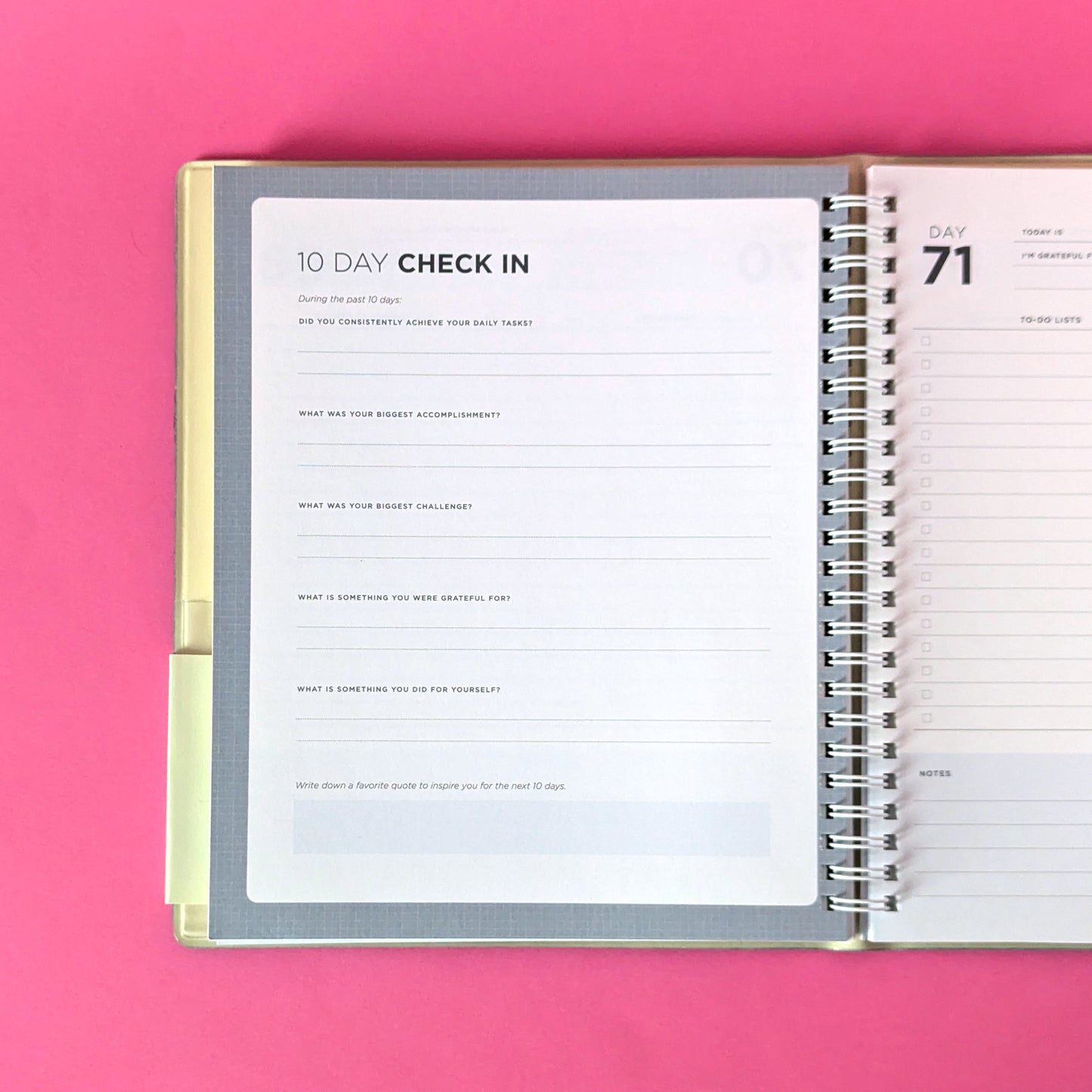 100 day goal planner