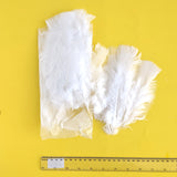 White artificial feathers / Plumes artificielles
