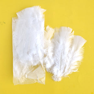 White artificial feathers / Plumes artificielles
