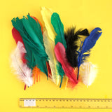 Muticolored artificial feathers / Plumes artificielles